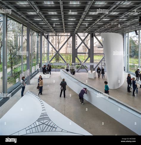 fondation cartier pour l'art contemporain.